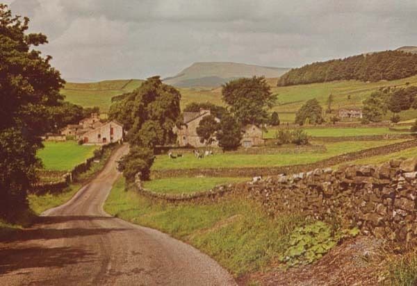 Hardraw Village Wensleydale Yorkshire Farm + Cattle Aerial Postcard