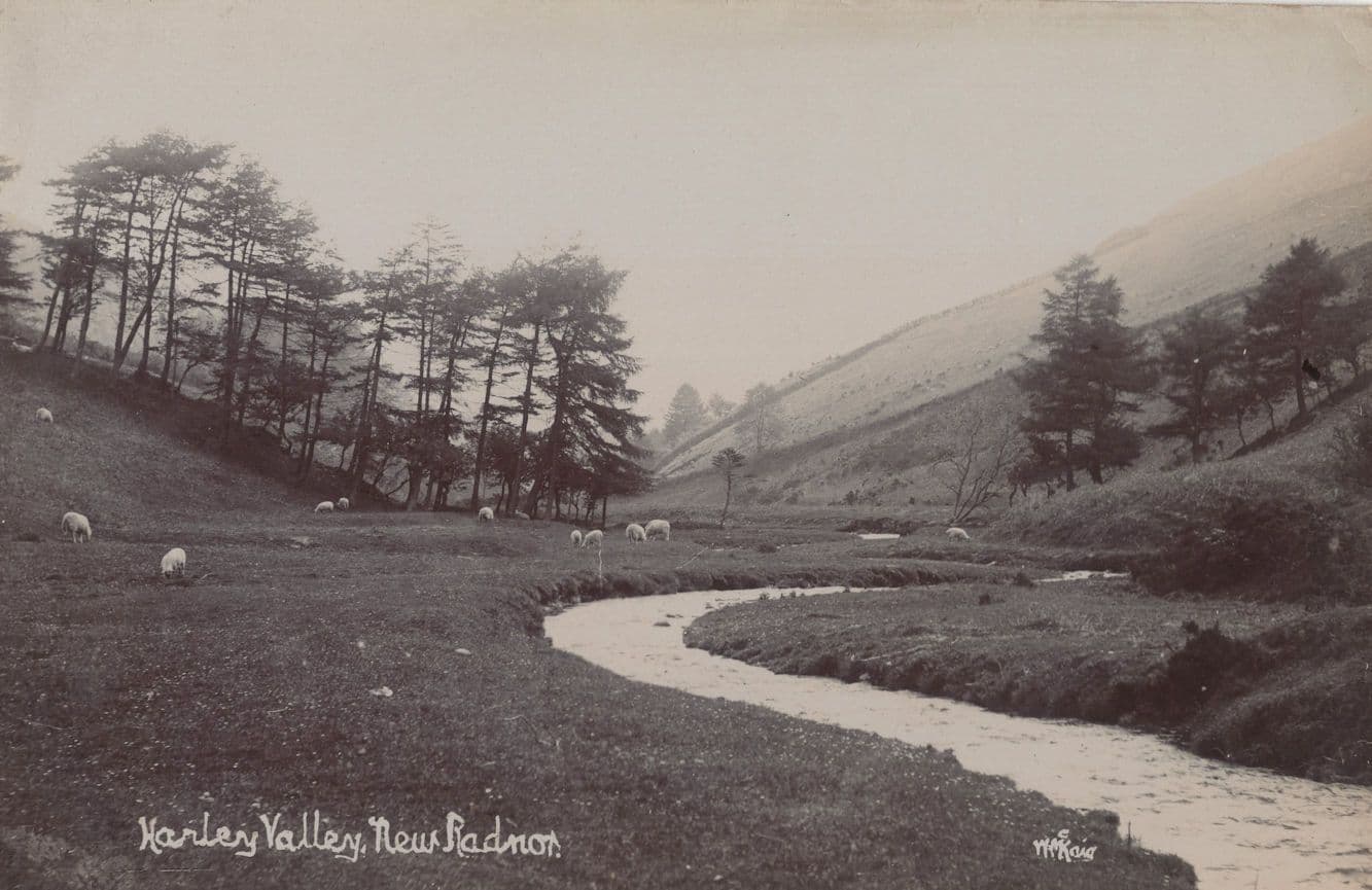 Harley Valley Wales Welsh Antique Real Photo Postcard