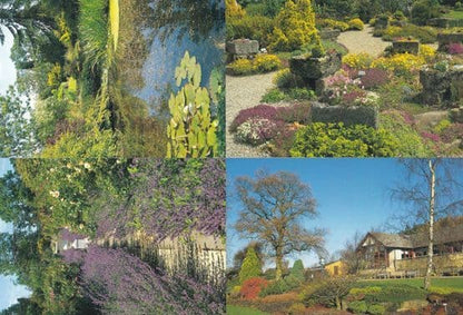 Harrogate Botanical Gardens 7x Postcard s