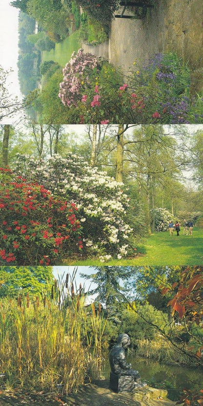 Harrogate Botanical Gardens 7x Postcard s