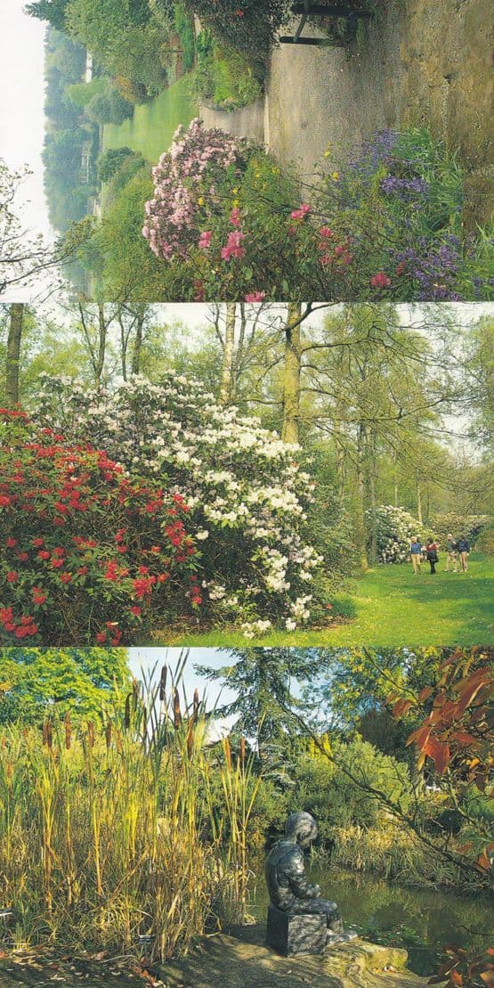 Harrogate Botanical Gardens 7x Postcard s