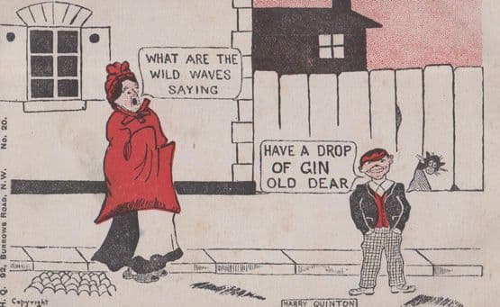 Harry Quinton What Are The Wild Waves Saying Gin Bottle Comic Humour Postcard