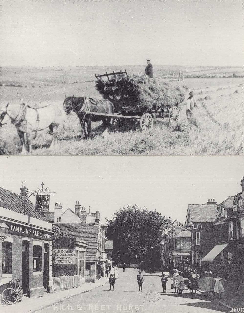 Harvesting Worthing Farmers Sussex Hurst High Street 2x Postcard s