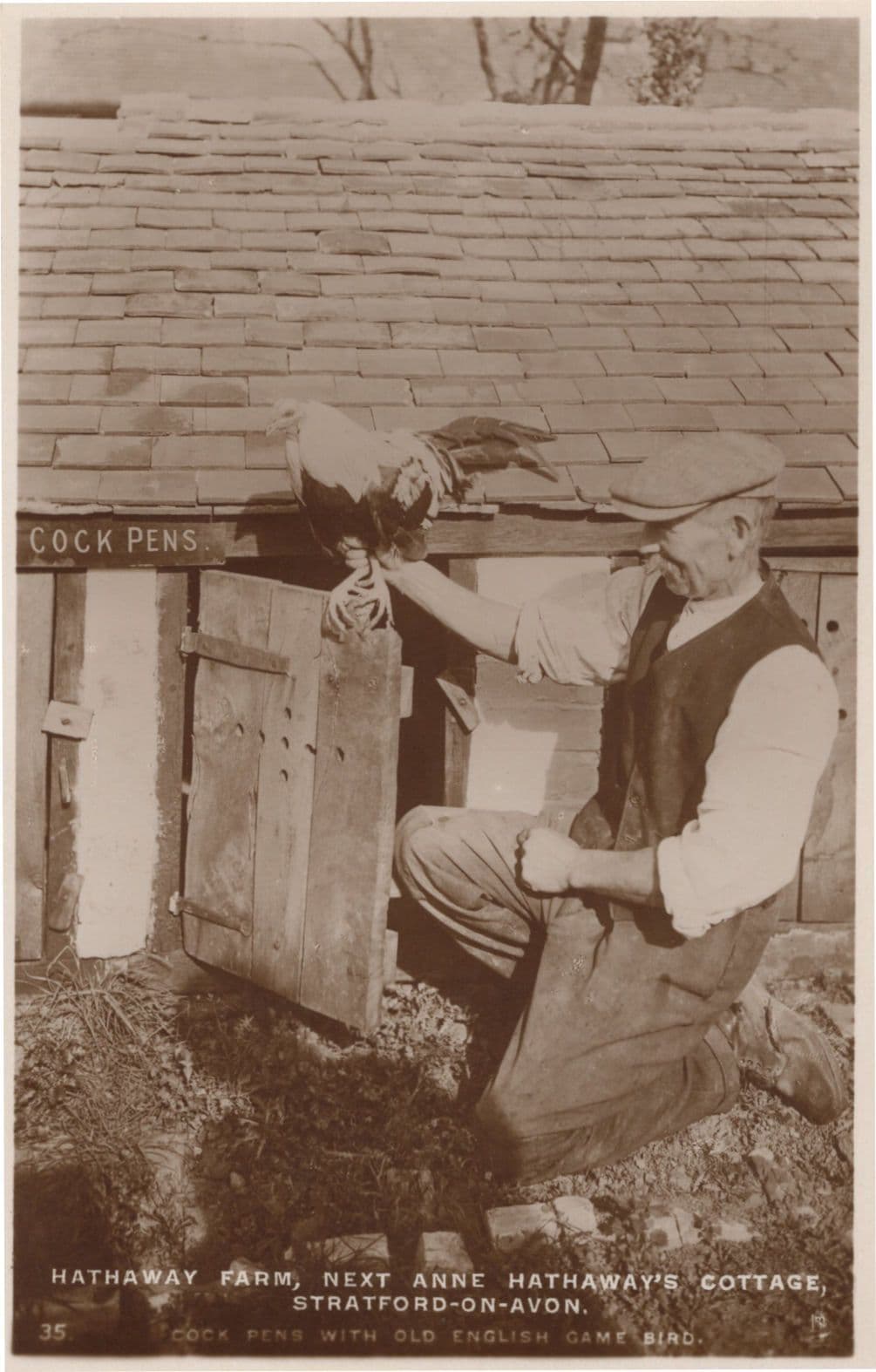 Hathaway Farm Stratford On Avon Rare Tucks Farming Old Postcard