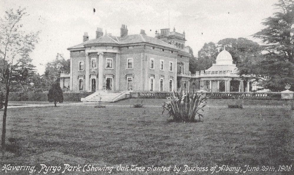 Havering Pyrgo Park Oak Tree Duchess Of Albany Essex Postcard