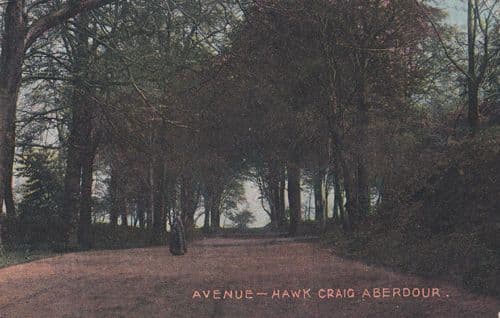 Hawk Craig Aberdour Avenue Antique Postcard