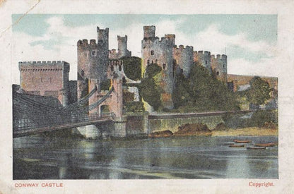 Haydock Coal in Castle Egremont Wallasey Brighton Seacombe Advertising Postcard