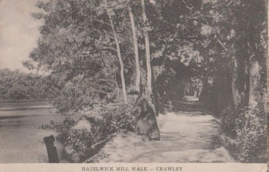 Hazelwick Mill Walk Crawley Antique Postcard
