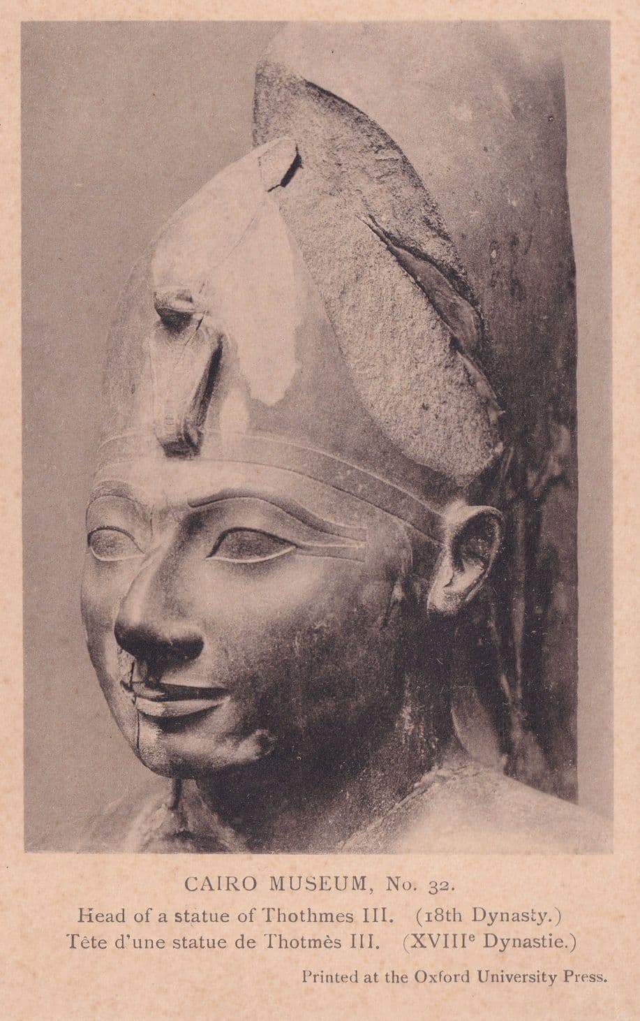 Head Of Thothmes III 18th Dynasty Egyptian Museum Old Postcard
