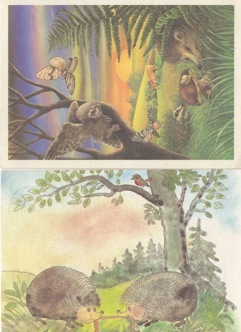 Hedgehog Tug Of War 2x German Comic Postcard s
