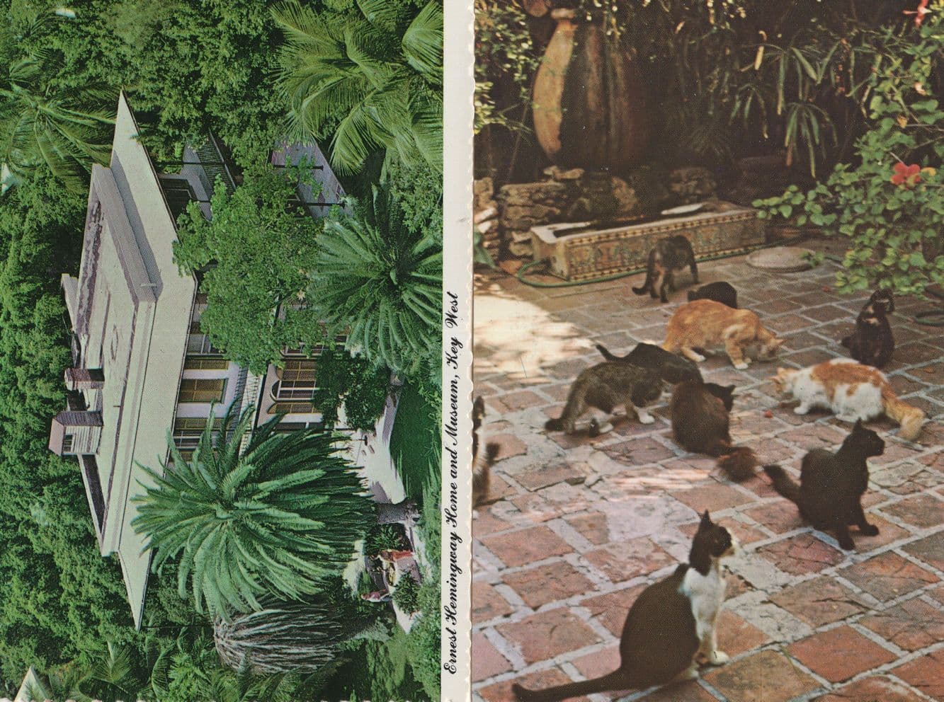 Hemingway House Patio from Sloppy Joes Restaurant USA 2x Postcard