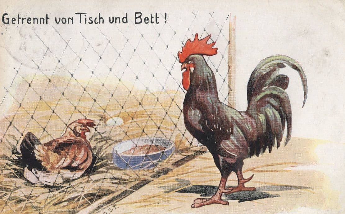 Hen Bird Antique Farm German Comic Old Postcard