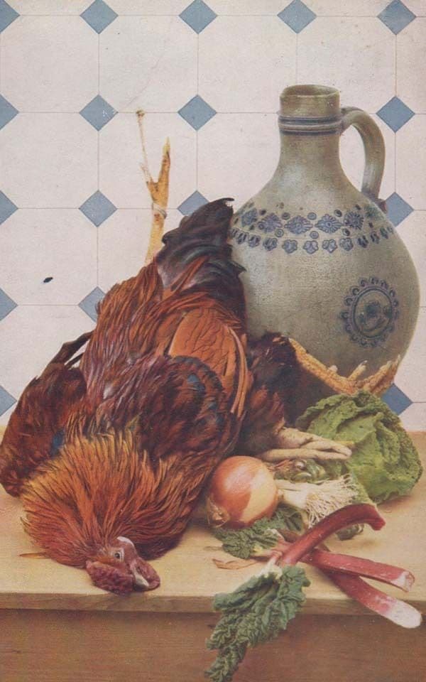 Hen Pheasant Killed Bird Shooting Hunting BBy Onions For Cooking Old Postcard