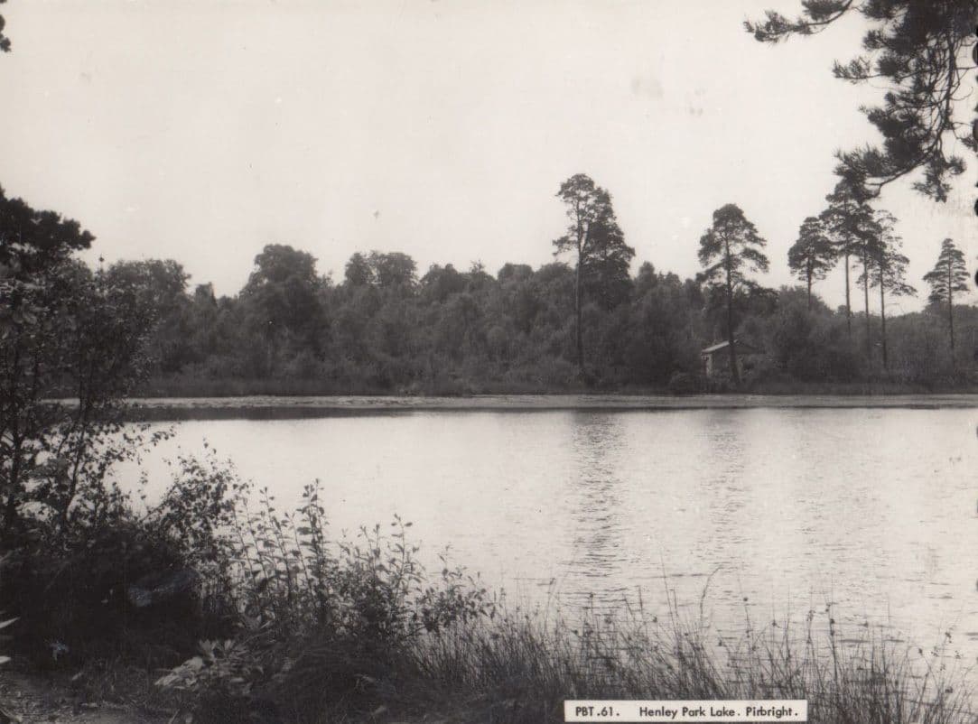 Henley Park Lake Pirbright Surrey Vintage Postcard