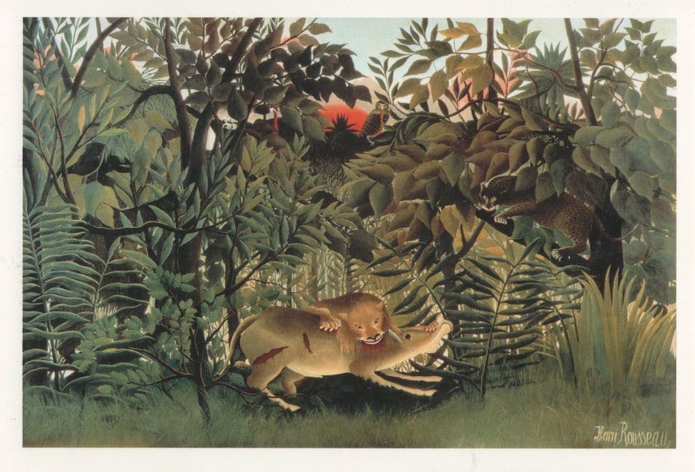 Henri Rousseau The Hungry Lion Antelope Basel Gallery Painting Postcard