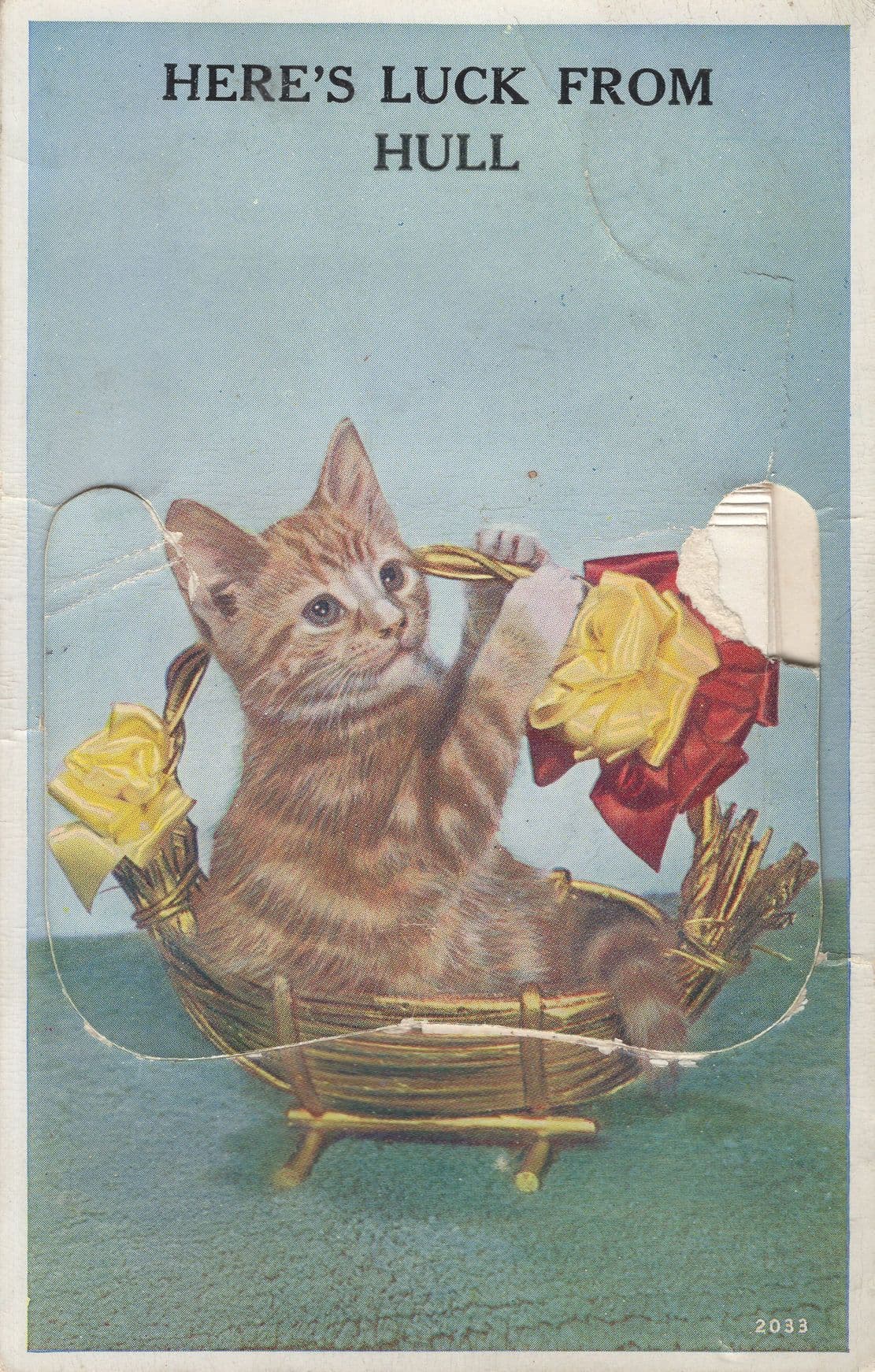 Here's Luck From Hull Cat Mailing Novelty Postcard Please Read