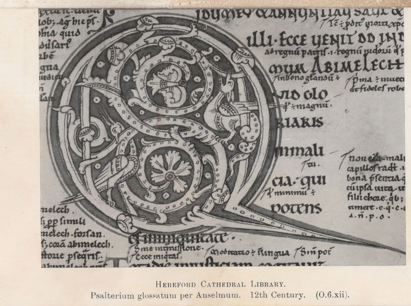 Hereford Cathedral Library 12th Century Old Mural Snakes Postcard