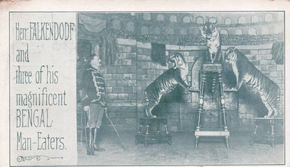 Herr Falkendorf German Bengal Tiger Old Circus Trainer Postcard