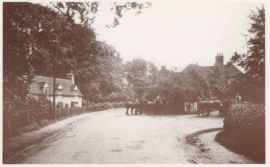 Hertford Road at Digswell Water 1919 Sweet Shop Postcard