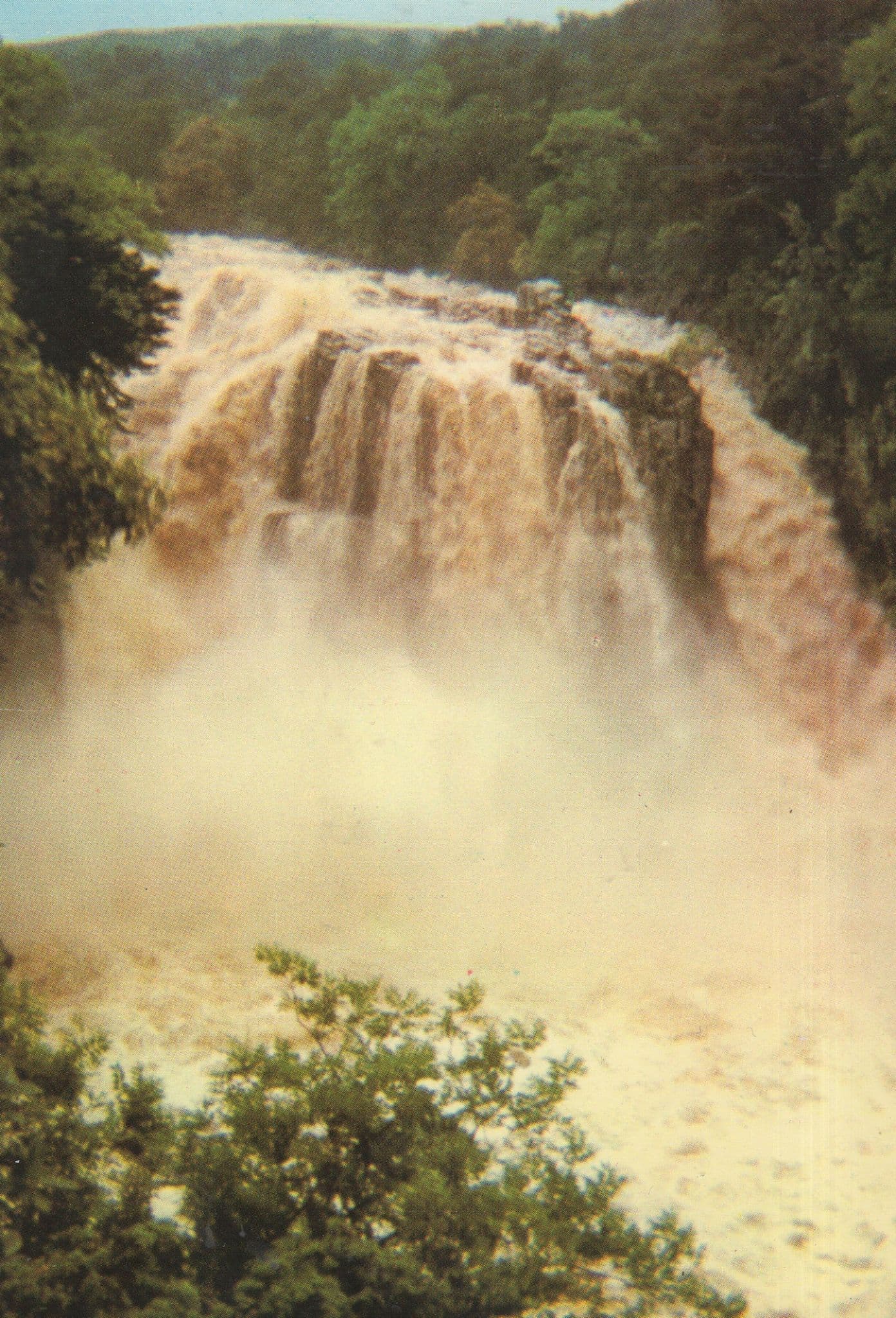 High Force USA Winds in Hurricane Charlie 1986 Disaster Postcard