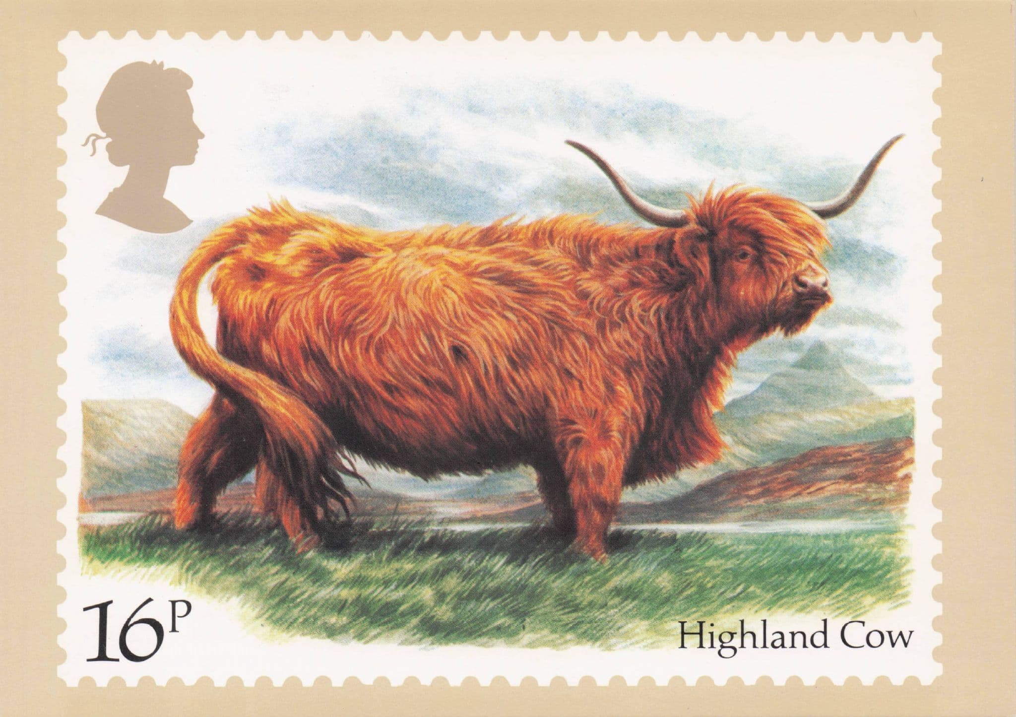 Highland Cow Cattle Scottish Farming Painting Royal Mail Postcard