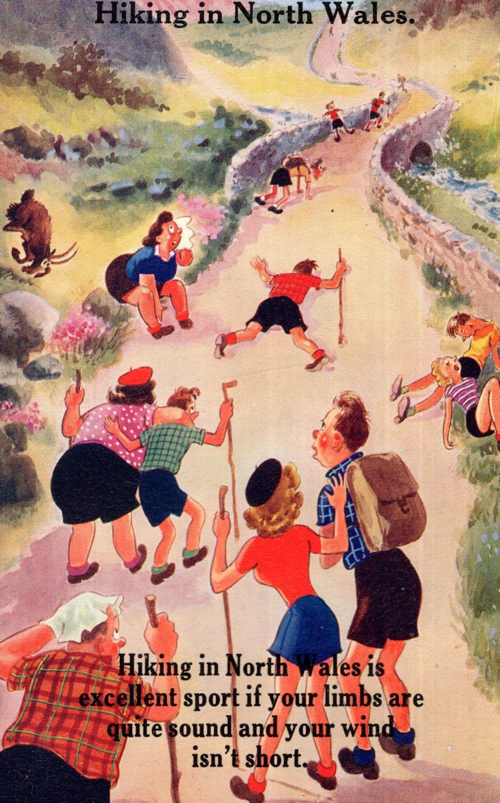 Hiking In North Wales Comic Rambling Welsh Valentines Postcard