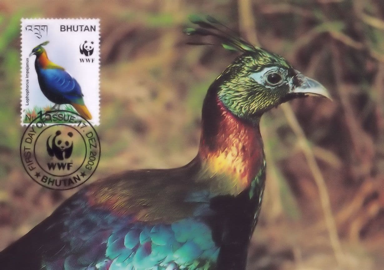 Himalayan Monal WWF Bhutan Pleasant Bird Stamp Rare FDC Postcard