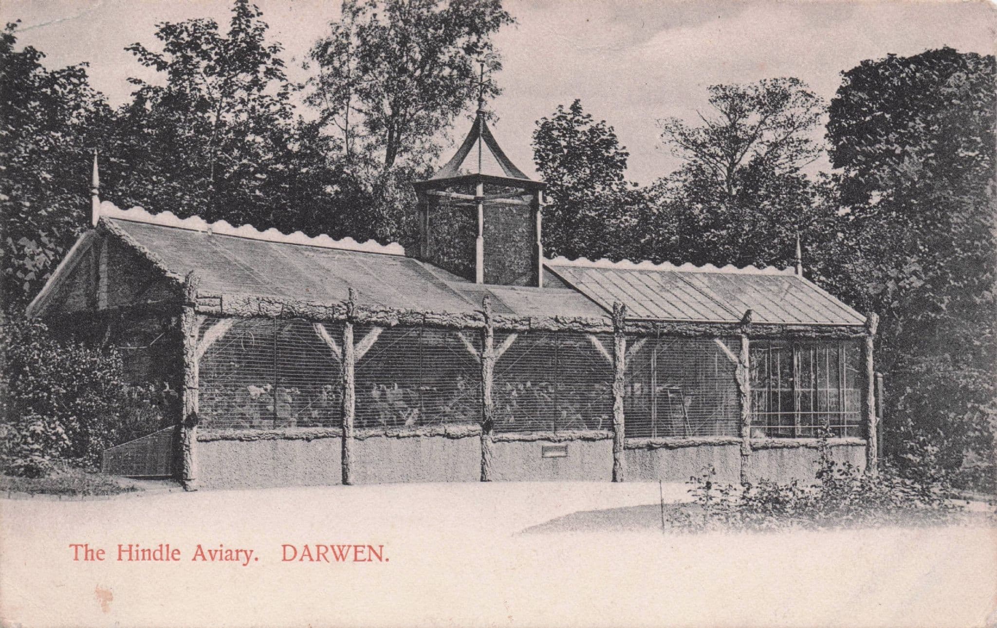 Hindle Bird Aviary Darwen Lancashire Antique Postcard