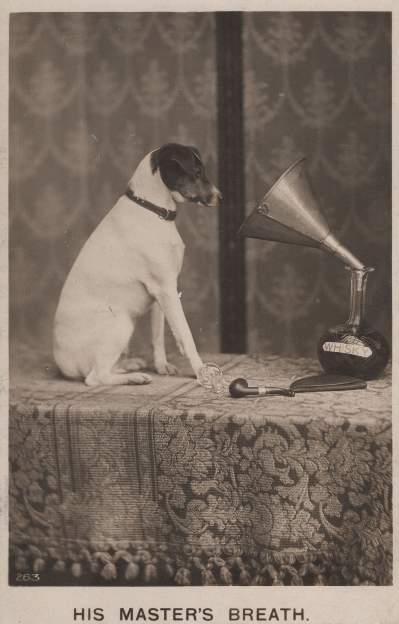 His Masters Voice Breath Dog Record Player Old Comic Postcard