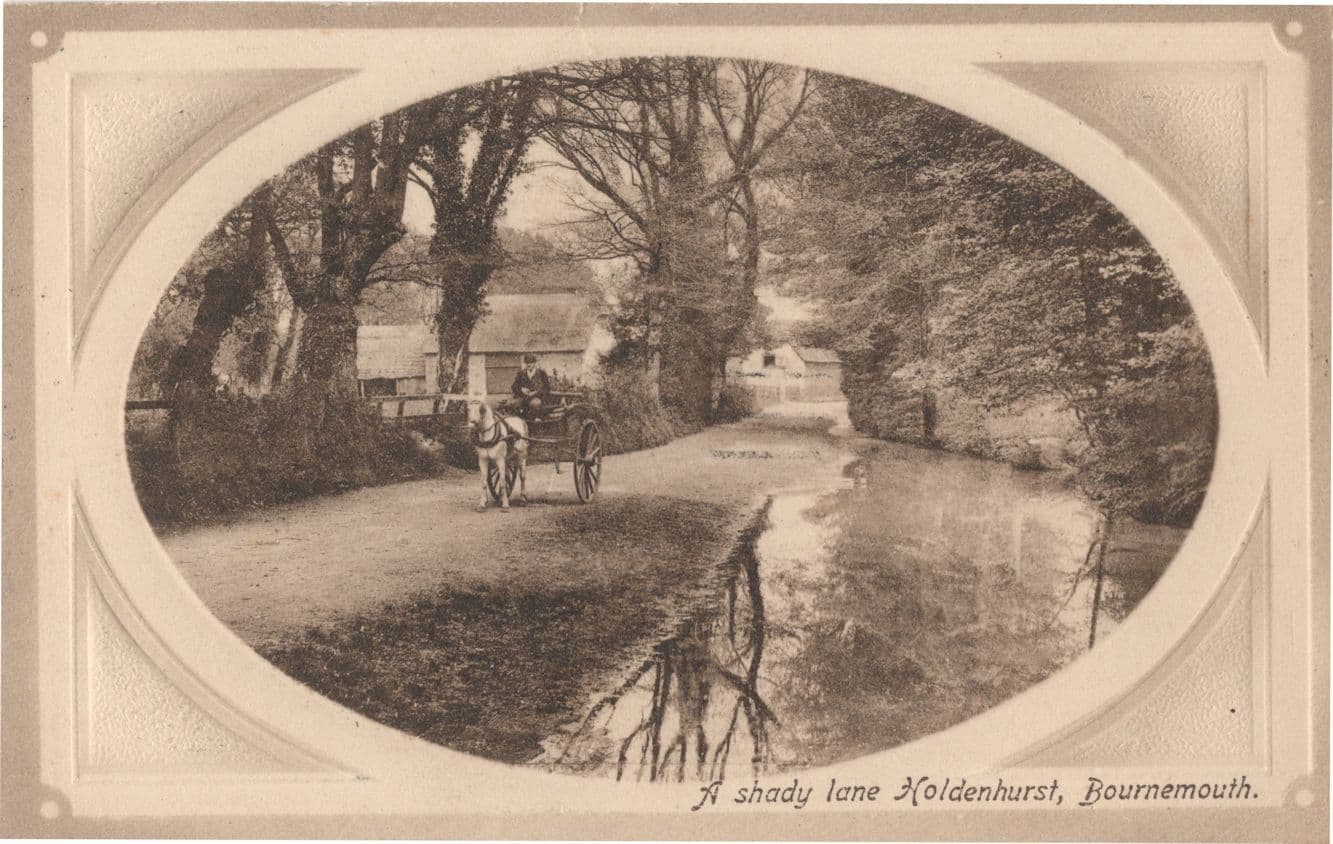 Holdenhurst Bournemouth A Shady Lane Portrait Style Old Postcard