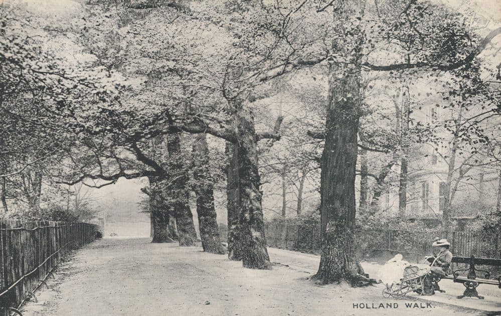 Holland Walk Islington London Antique Postcard