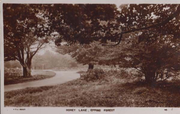 Honey Lane Epping Forest Vintage Real Photo Postcard