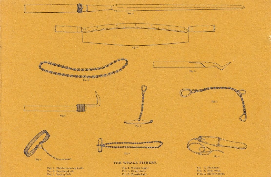 Hooks Knives Blades Straps Whale Fishing Victorian Book Rare Postcard
