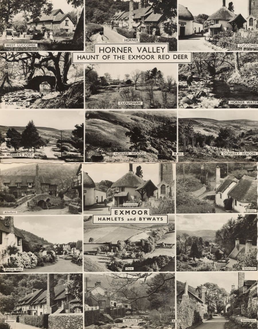 Horner Valley Exmoor Red Deer Somerset 18 Views Rare RPC 2x Postcard