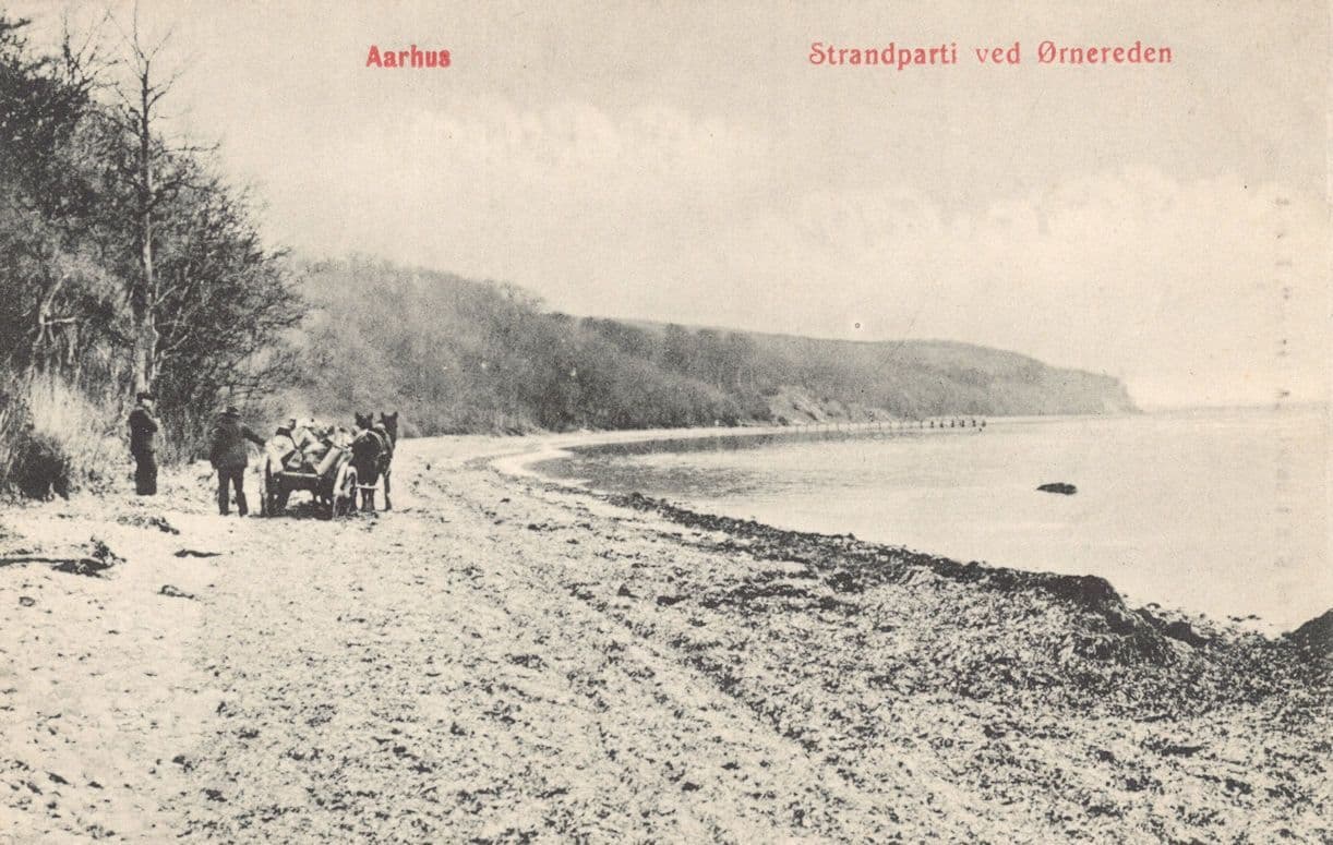 Horse & Cart Strandparti Ved Ornereden Aarhus Denmark Old Postcard