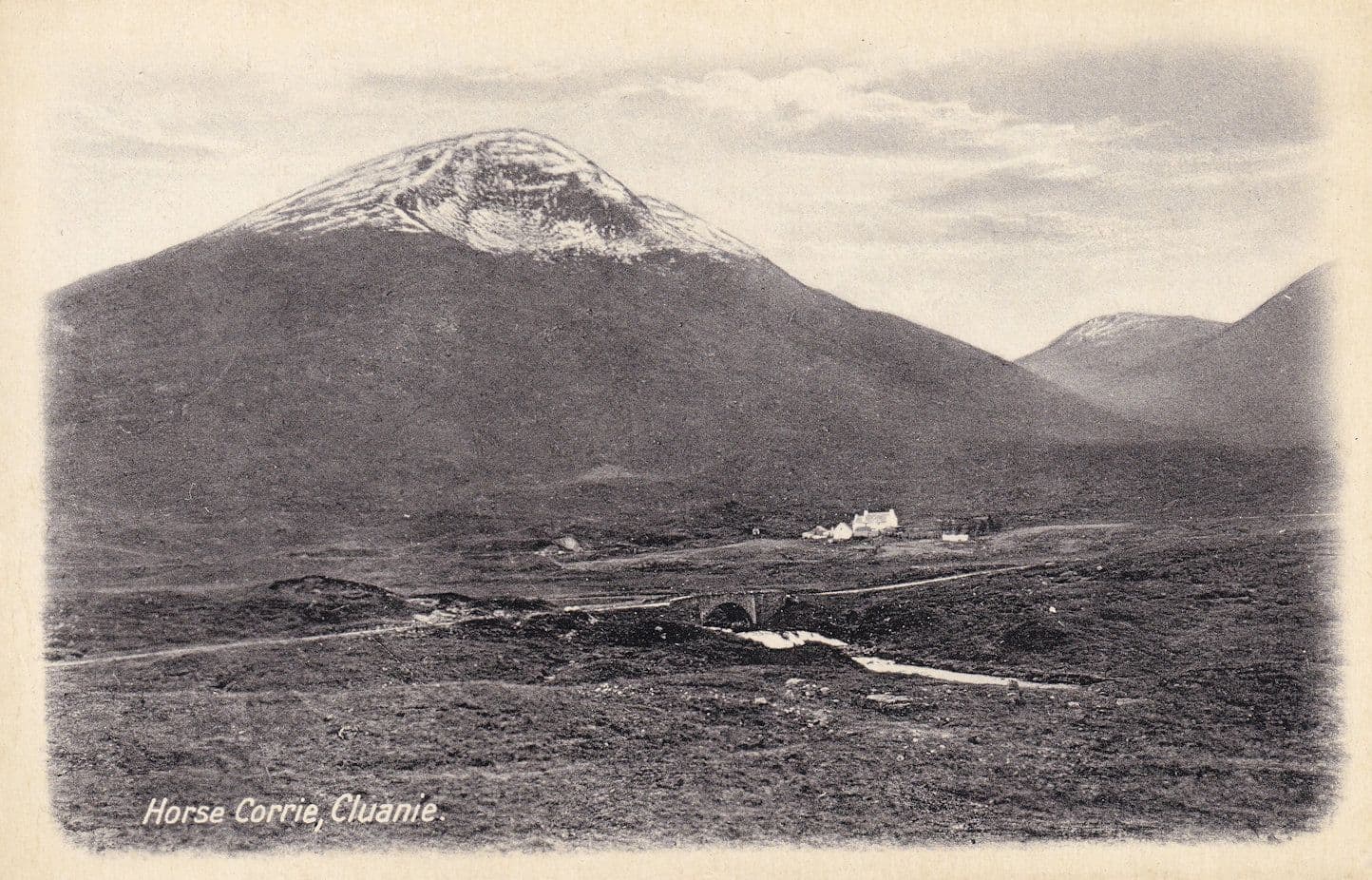 Horse Clorrie Cluanie Inverness Scottish Postcard