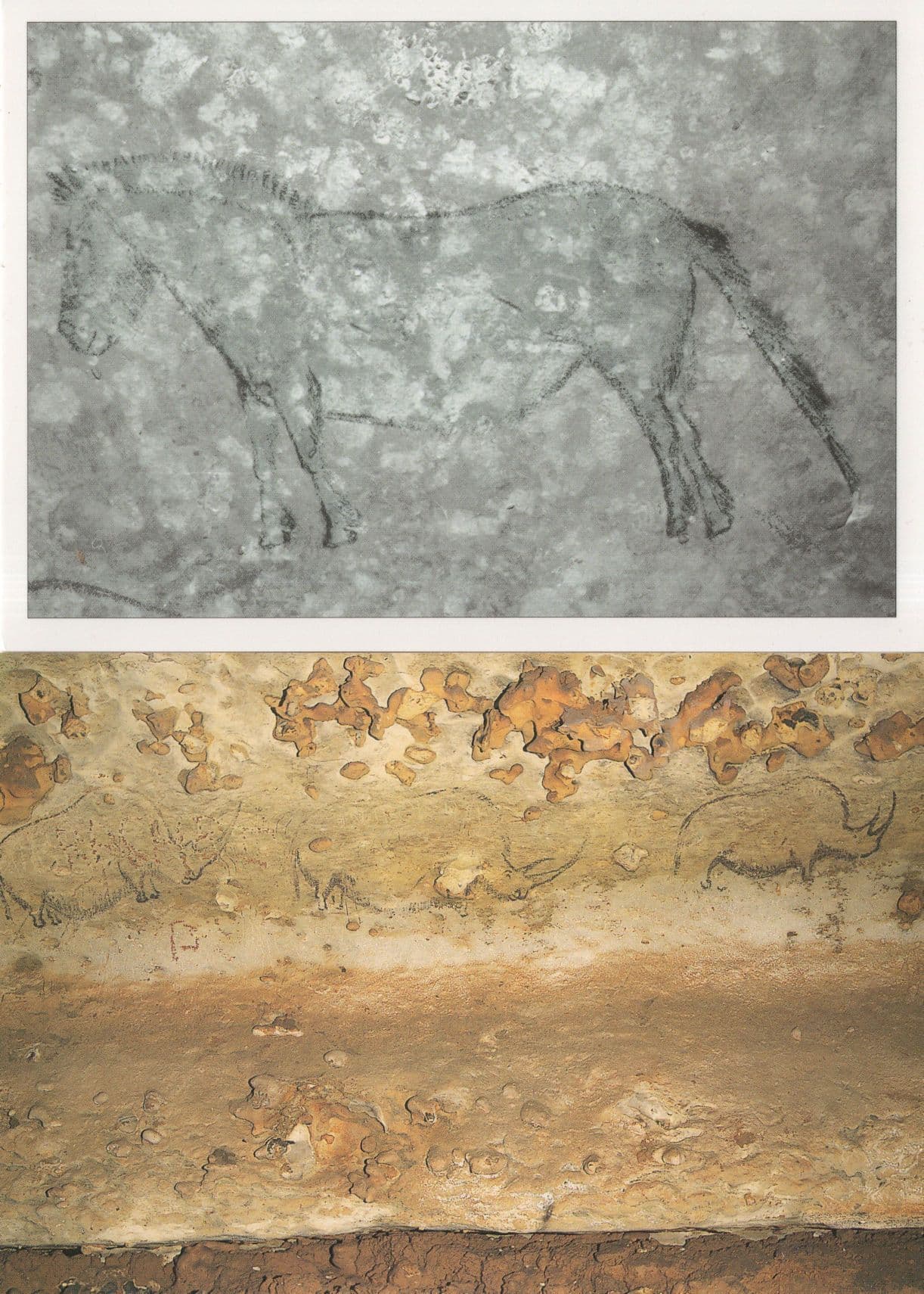 Horse Elephant French Cave Paintings Grotte De Rouffignac 2x Postcard s