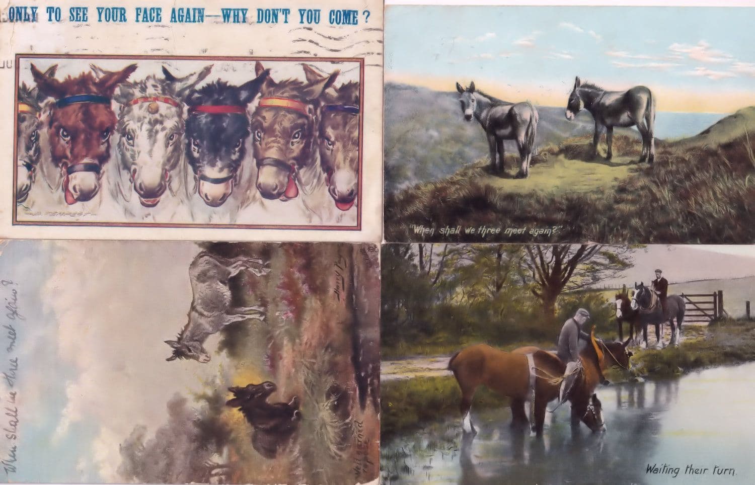 Horses Only To See Your Face Margaret Tempest Comic 4x Old Postcard