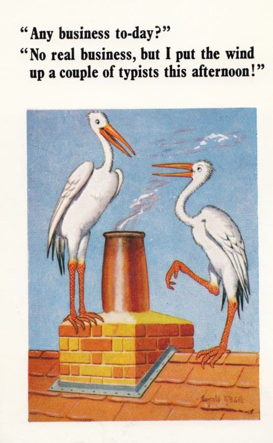 Hot Crane Birds On a Tin Rooftop Having Typing Rude Chat Comic Humour Postcard