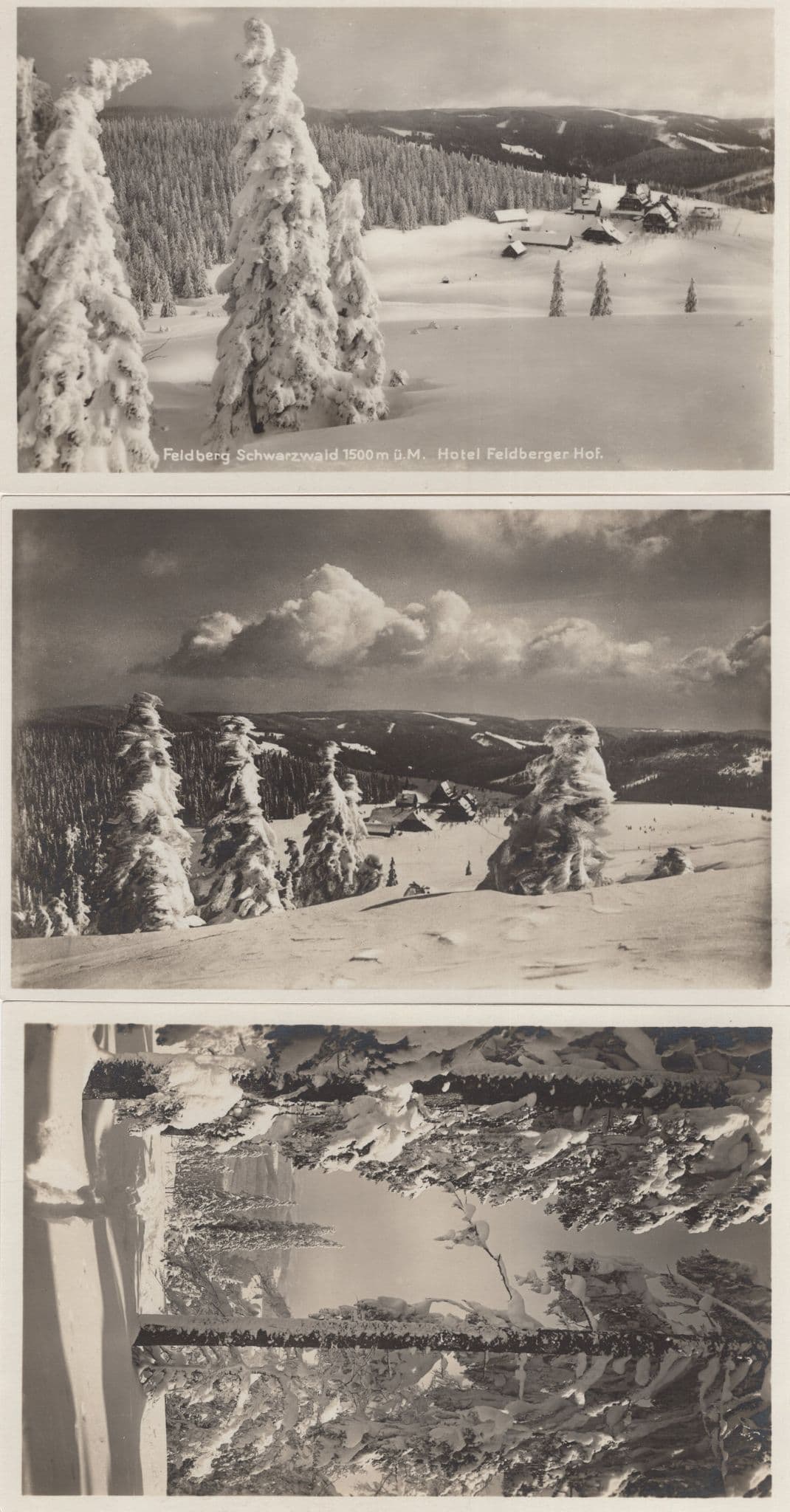 Hotel Feldberger Feldberg 3x Old German Postcard s