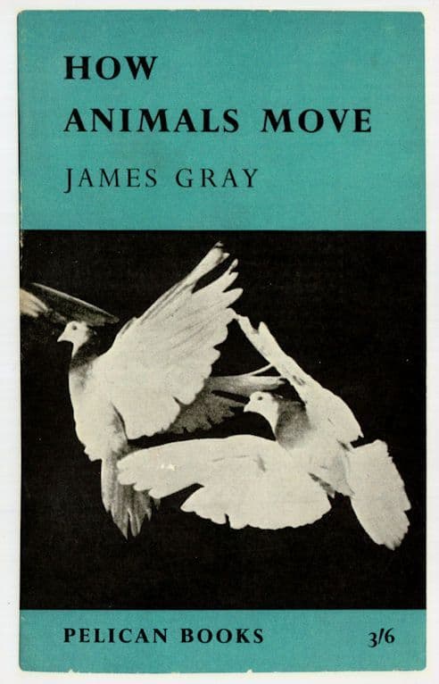 How Animals Move James Gray 1959 Book Postcard