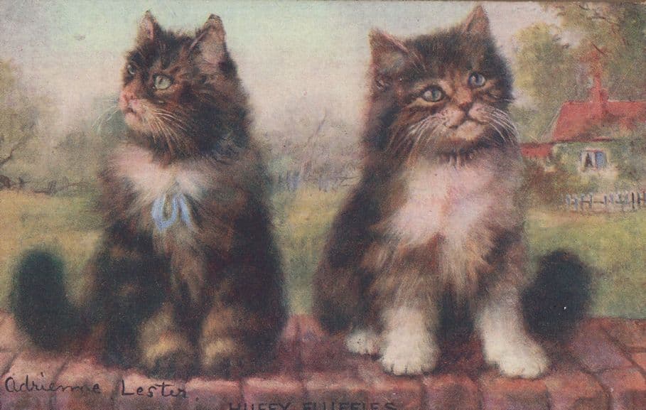 Huffy Fluffies Antique Fluffy Kitten Cat Panel Rare Strong Card