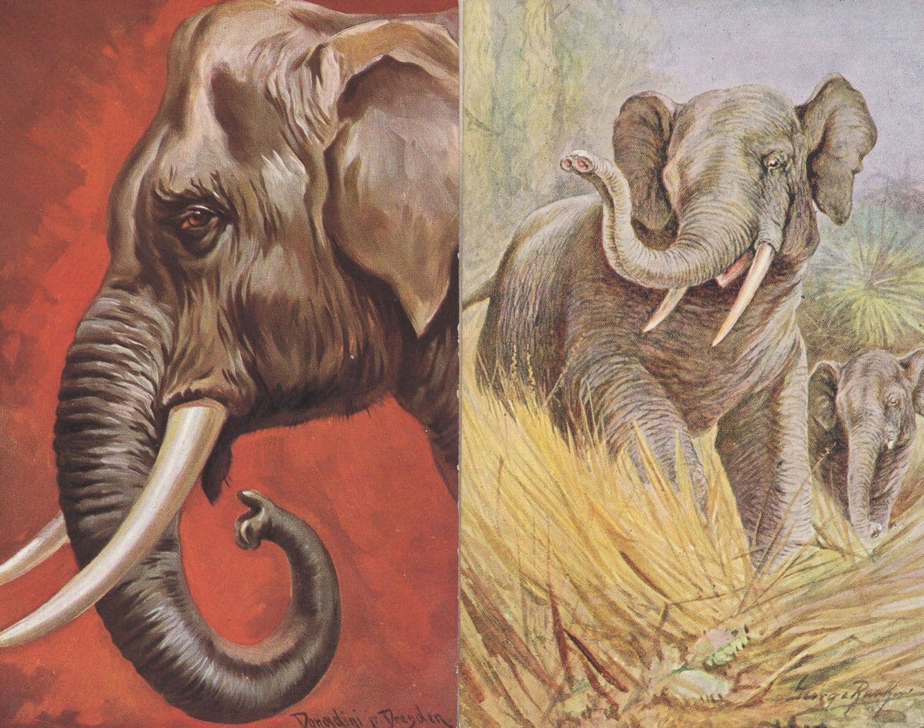 Hunting Elephants 2x Old Painting Postcard s