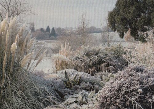 Hyde Hall RHS Gardens Rettenden Chelmsford Winter Postcard