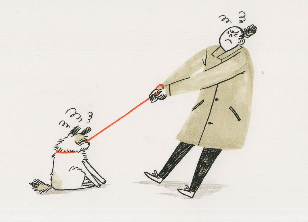 I'm Not Going Walkies Dog & Angry Owner Comic Postcard