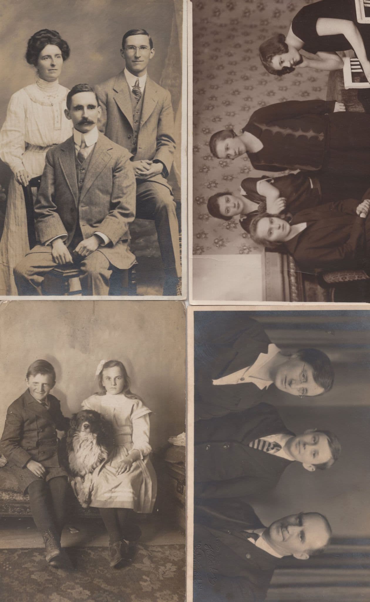 I'm So BORED !  Four Old Grumpy Fed Up Lady Portrait Postcard s