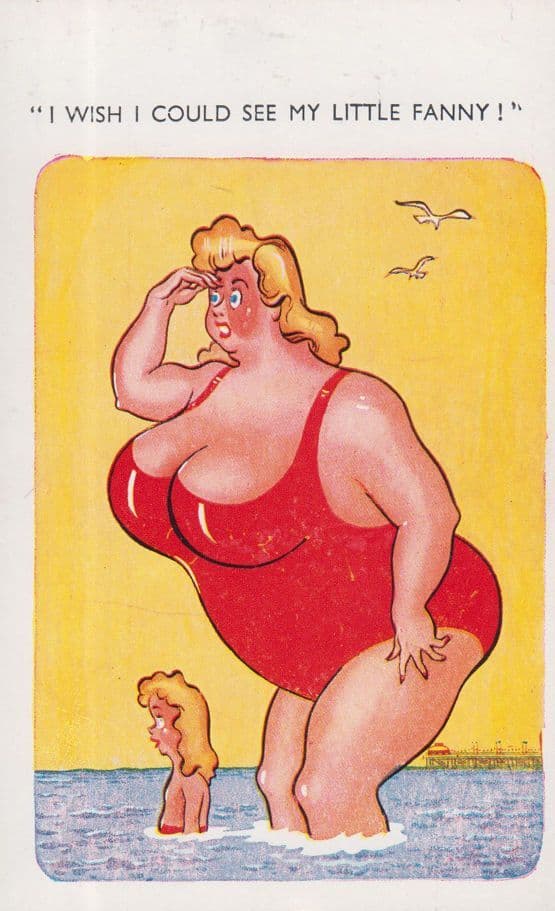 I Wish I Could See My Privates Too Fat Diet Overweight Comic Humour Postcard