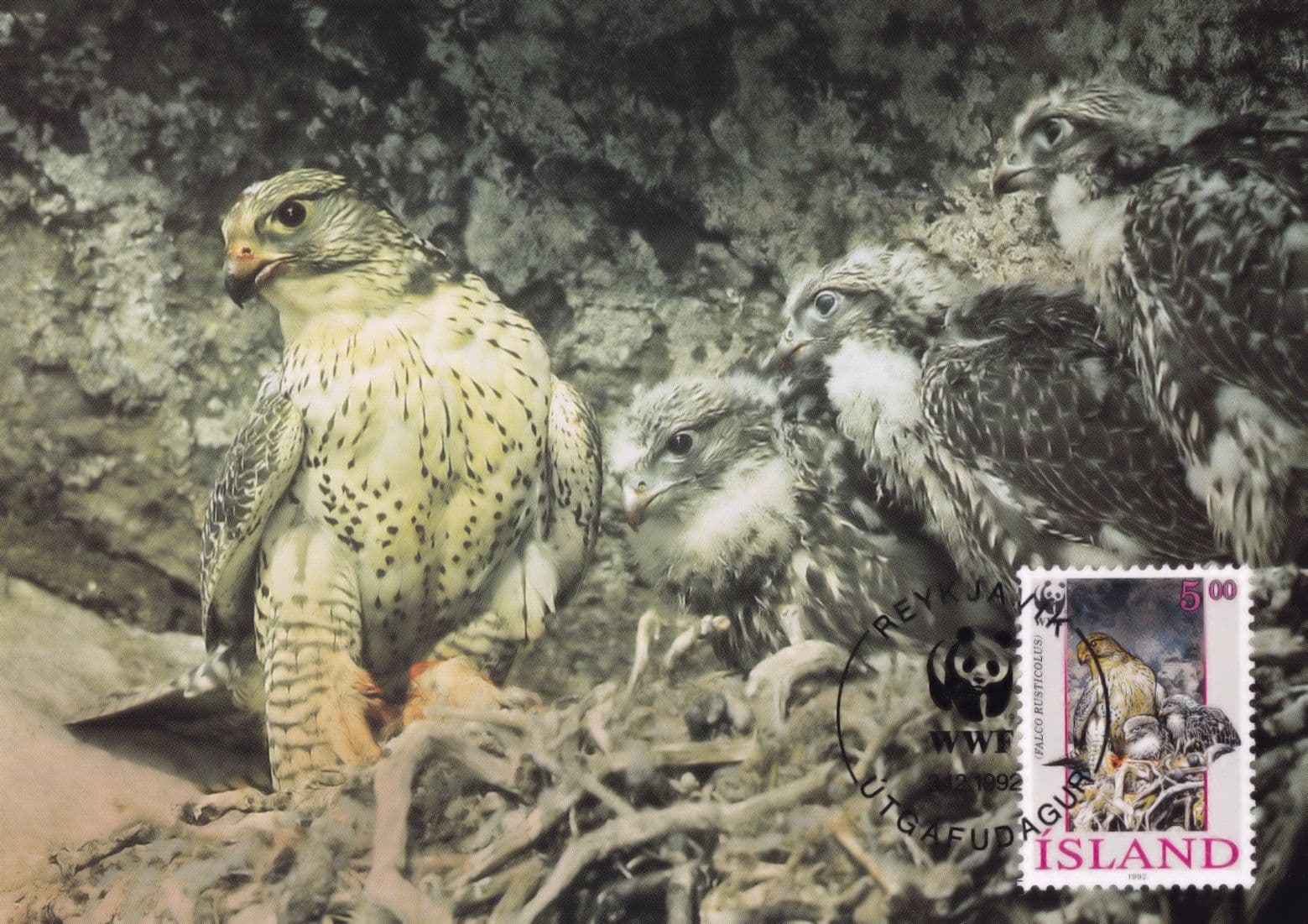 Iceland Gyrfalcon WWF Stamp FDC First Day Cover Postcard