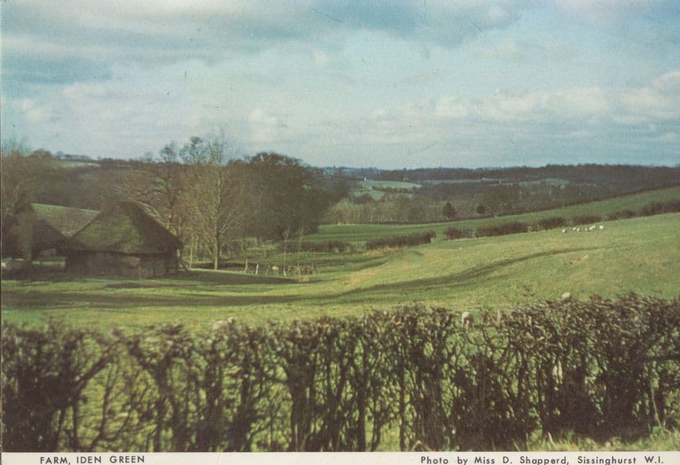 Iden Green Farm Kent Postcard