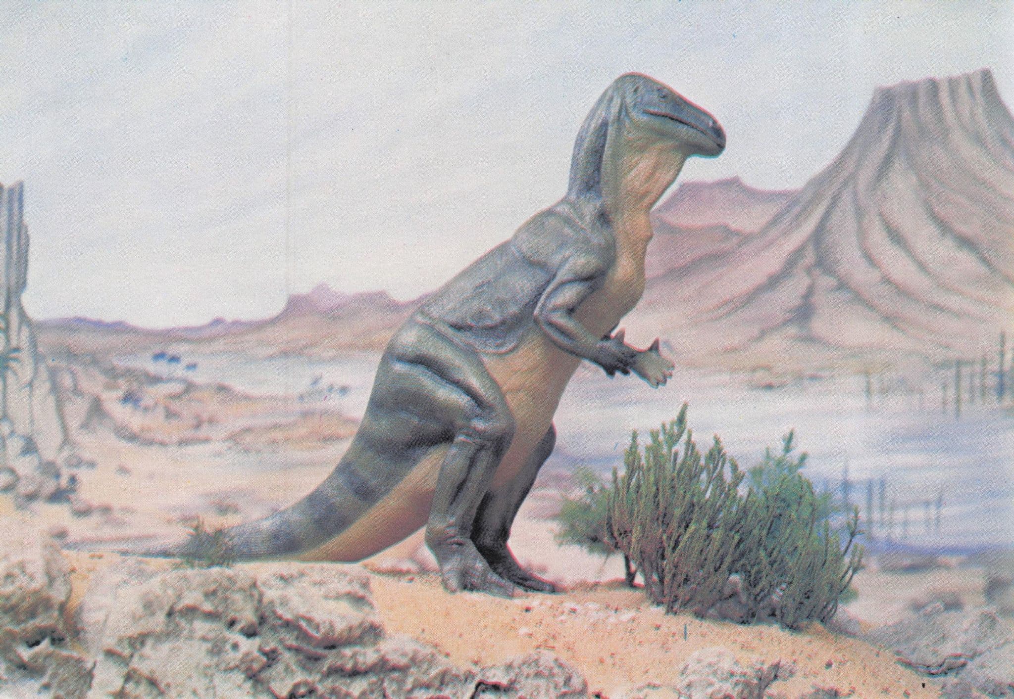Iguanodon Dinosaur Rare Prehistoric Painting Postcard